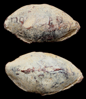 Sling Bullet, Legend/Thunderbolt, 1st-3rd Cent Sling Bullet, Legend/Thunderbolt, 1st-3rd Cent